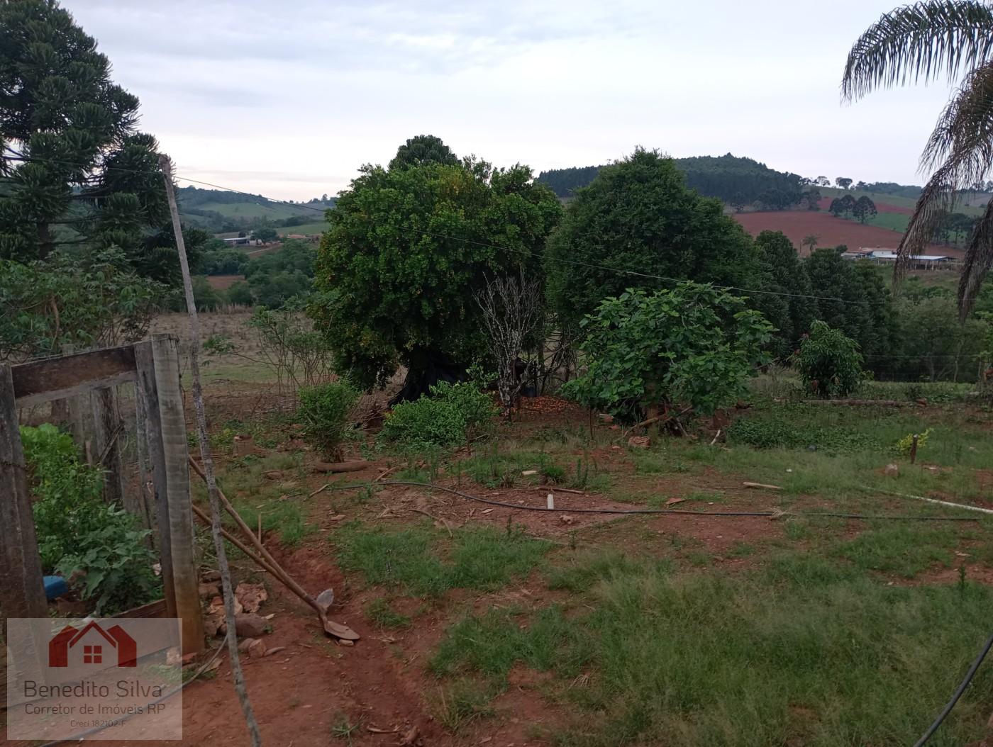 Sítio, 3 quartos, 14 m² - Foto 33