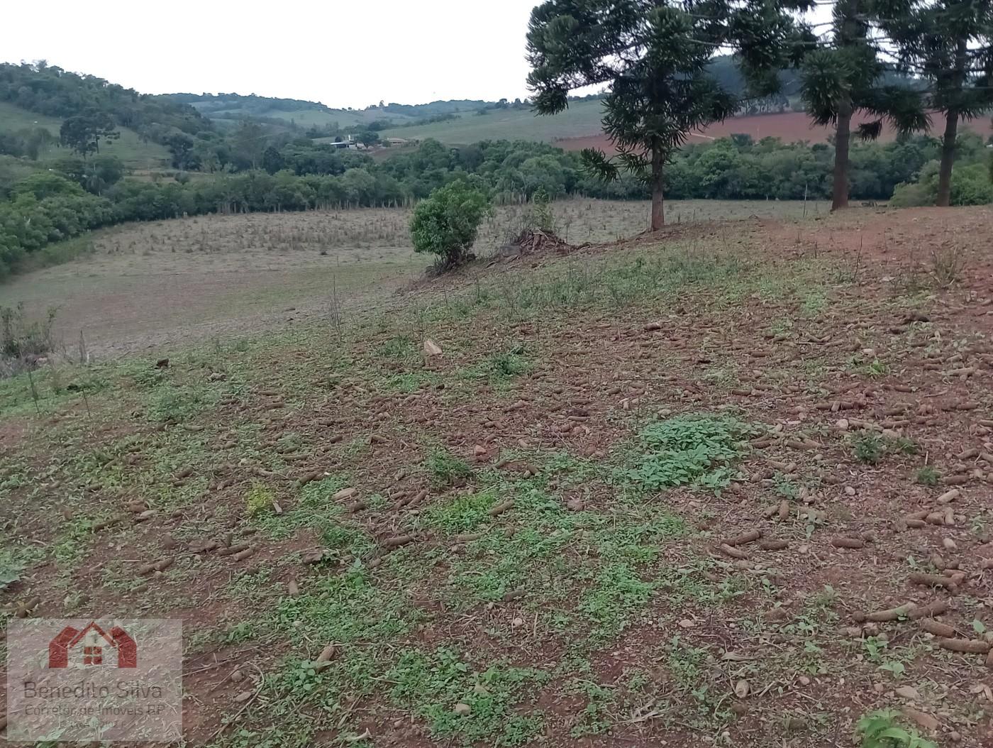 Sítio, 3 quartos, 14 m² - Foto 36