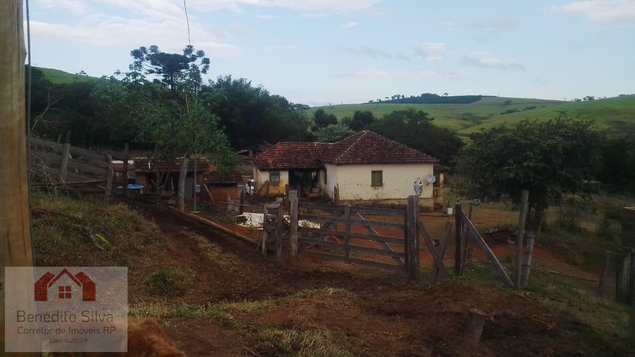 Sítio, 3 quartos, 9 m² - Foto 3