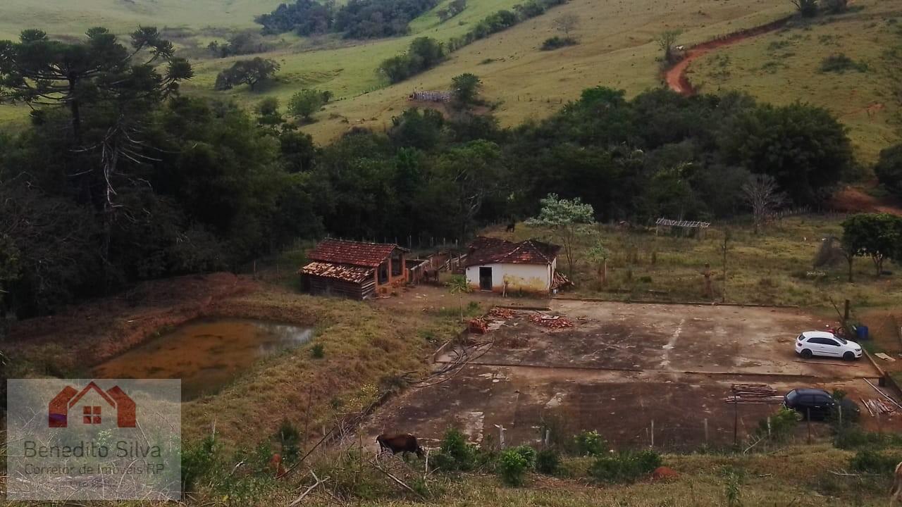 Sítio, 3 quartos, 9 m² - Foto 4