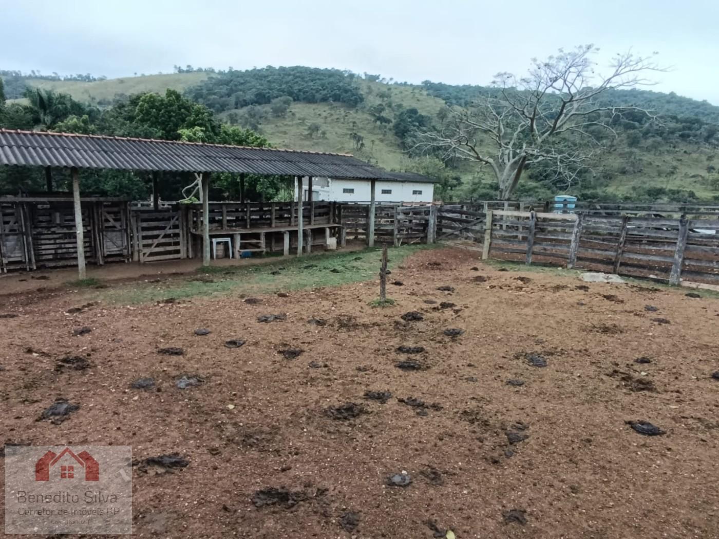 Fazenda, 147 m² - Foto 5