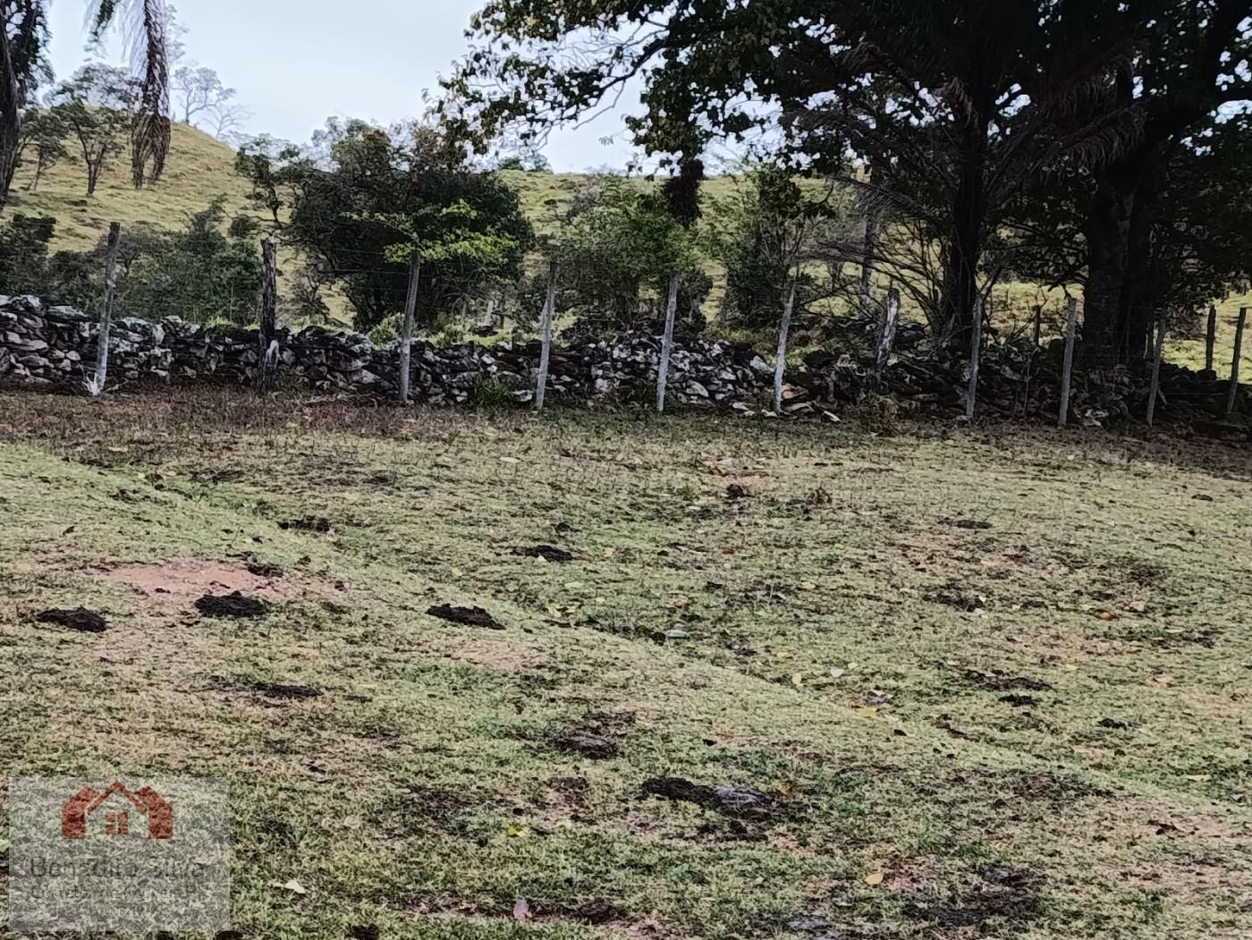 Fazenda, 147 m² - Foto 8