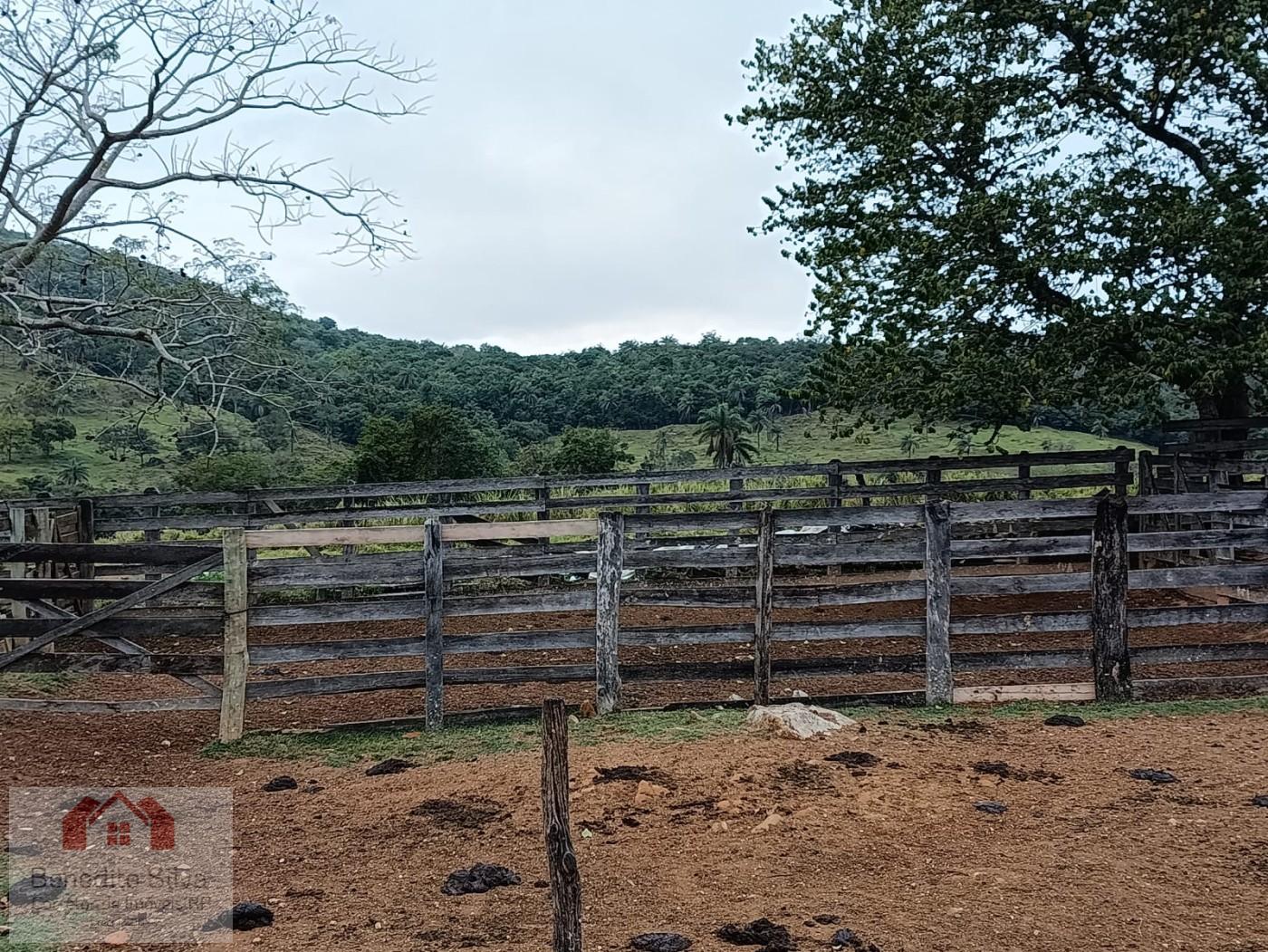 Fazenda, 147 m² - Foto 11