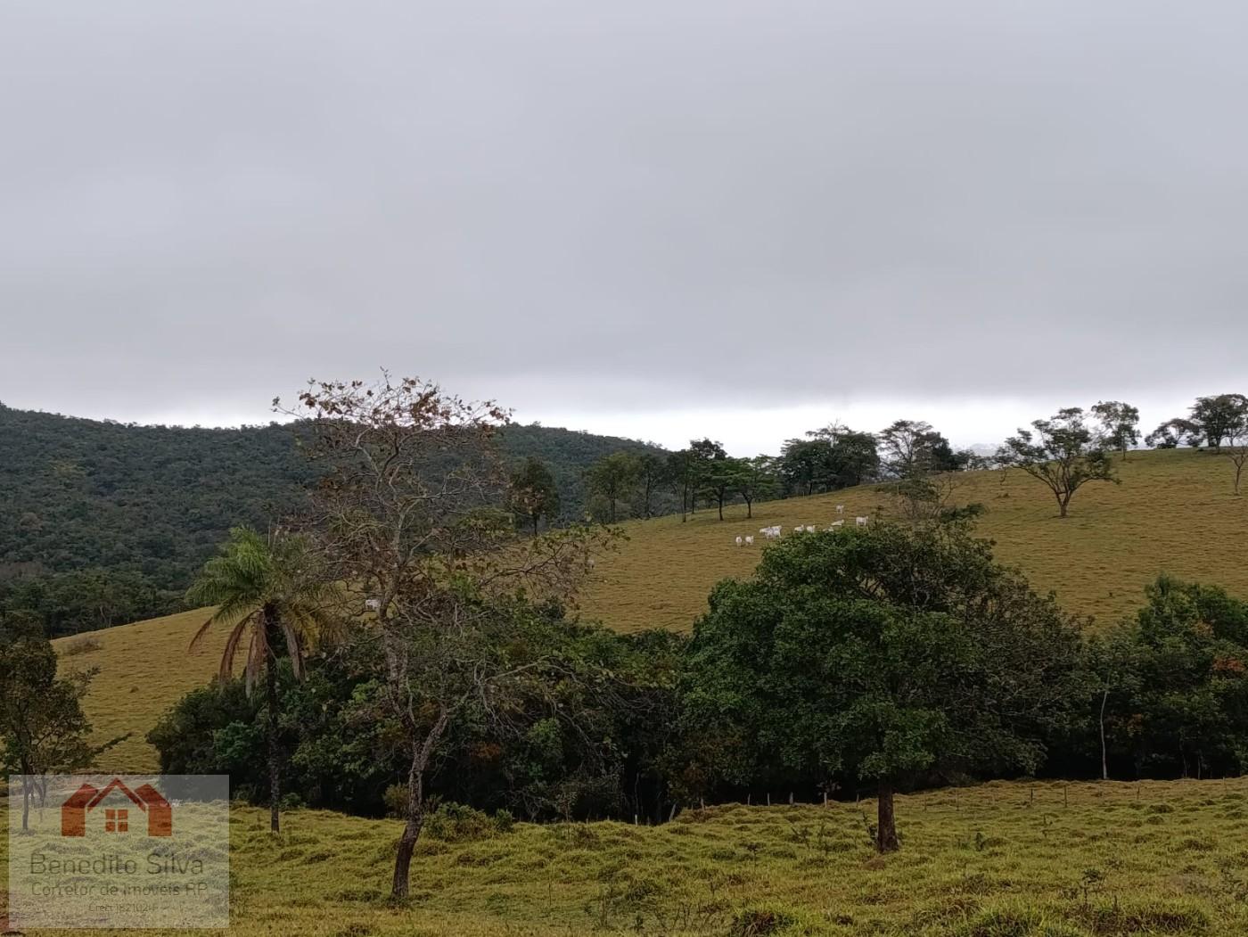 Fazenda, 147 m² - Foto 19