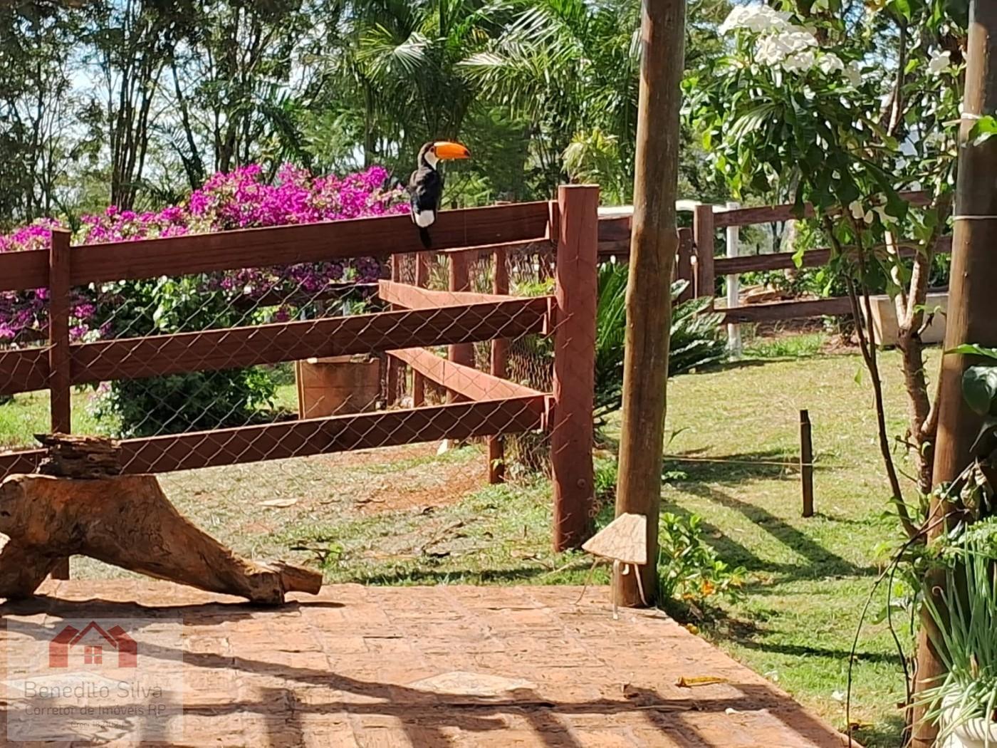 Sítio, 3 quartos, 5 m² - Foto 11