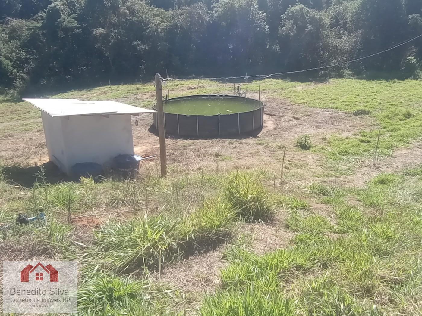 Sítio, 3 quartos, 4 m² - Foto 25