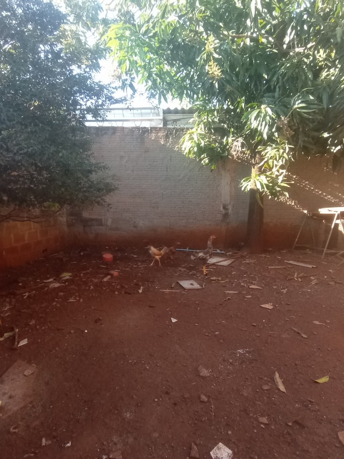 Casa, 4 quartos, 280 m² - Foto 8