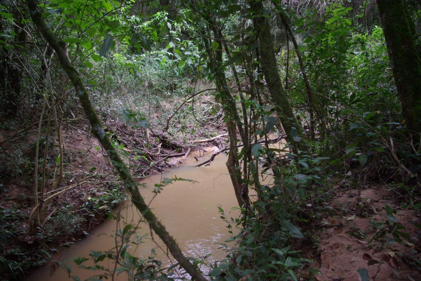 Sítio, 8 m² - Foto 10