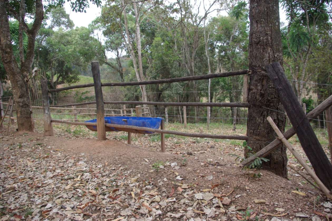 Sítio, 3 quartos, 2 m² - Foto 20
